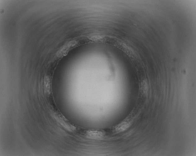 X0000082680234200702091640