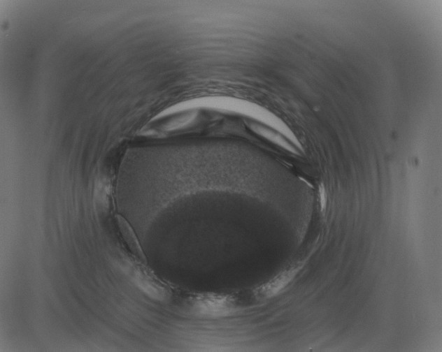 X0000082680235200702091640