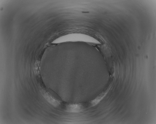 X0000082680237200702091640