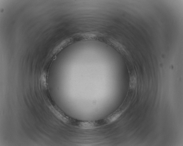 X0000082680238200702091640