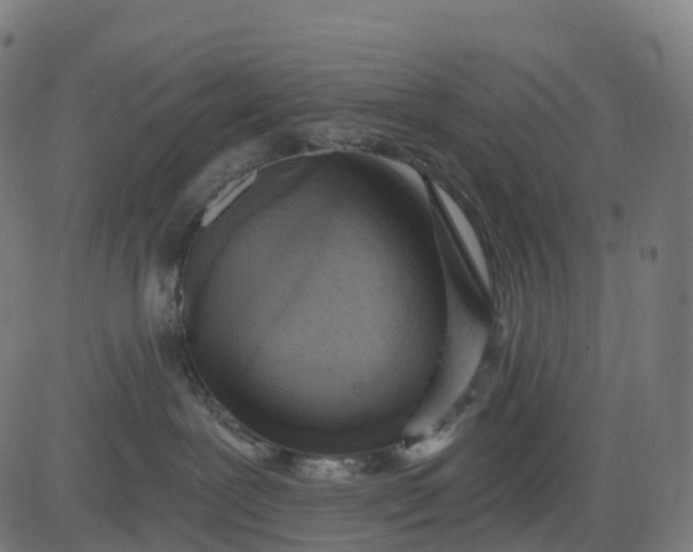 X0000082680239200702091640