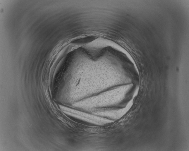 X0000082680241200702091639