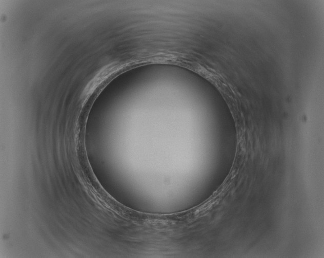 X0000082680242200702091639