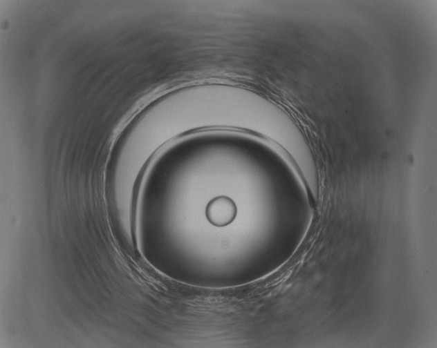 X0000082680244200702091639