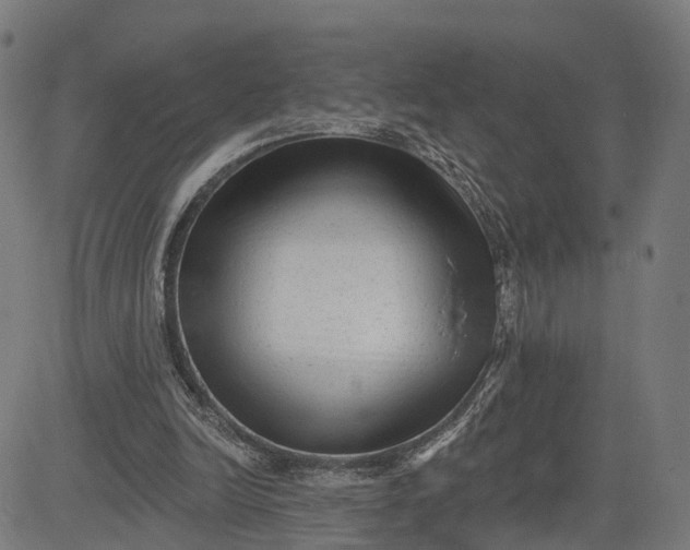 X0000082680246200702091639