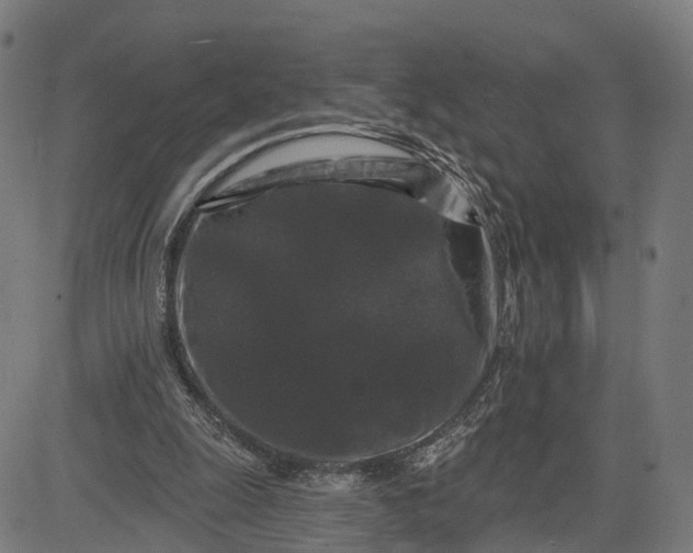 X0000082680247200702091639