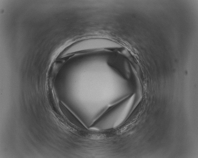 X0000082680248200702091639