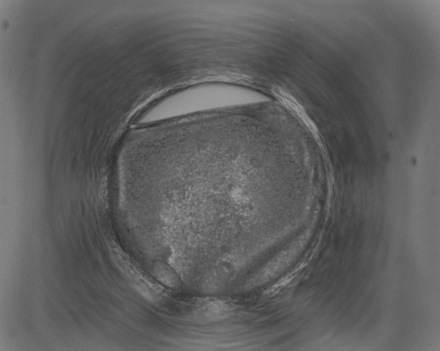 X0000082680249200702091639