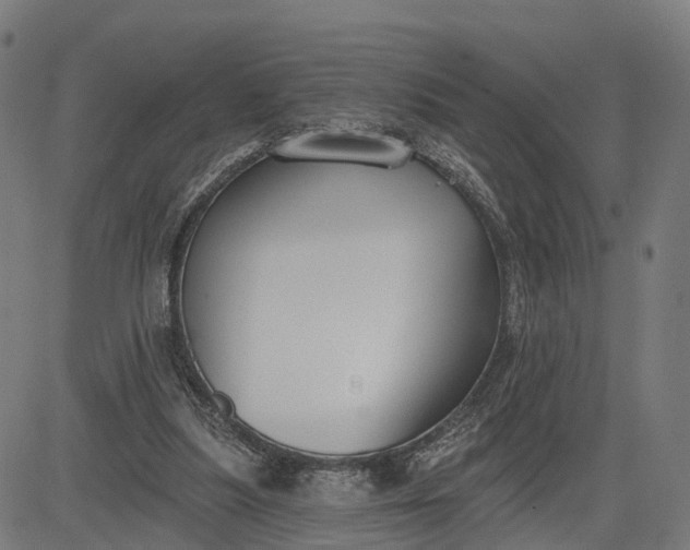 X0000082680251200702091639