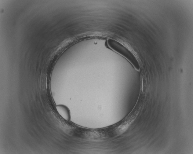 X0000082680253200702091639