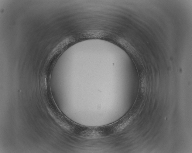 X0000082680254200702091639