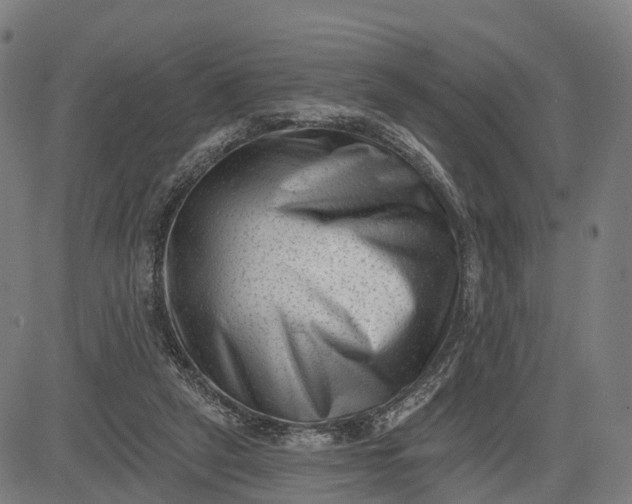 X0000082680257200702091639