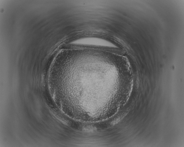 X0000082680258200702091639