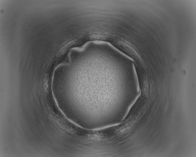 X0000082680259200702091639