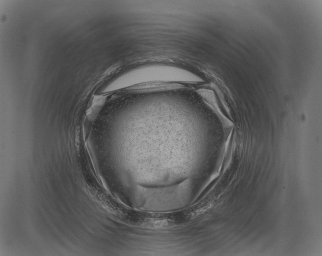 X0000082680260200702091639