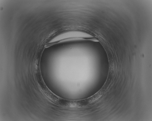 X0000082680264200702091639