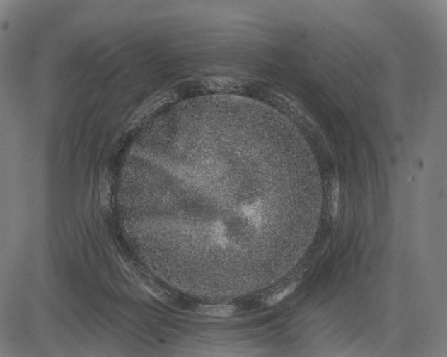 X0000082680266200702091640