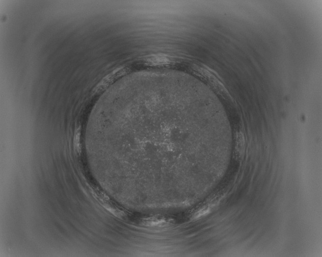 X0000082680267200702091640