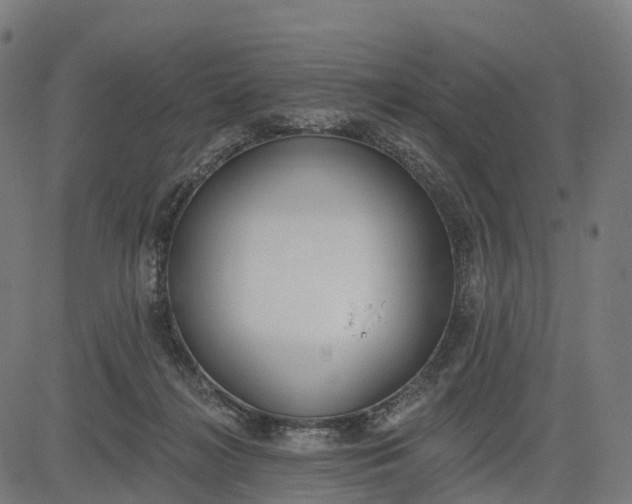 X0000082680268200702091640