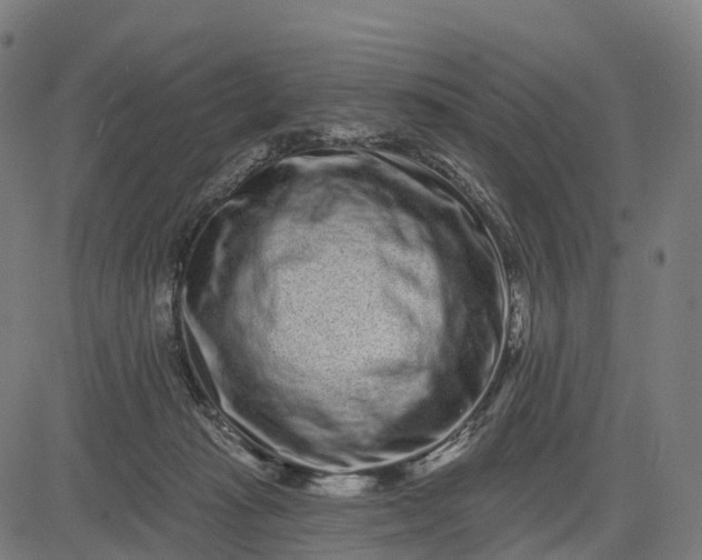 X0000082680269200702091640