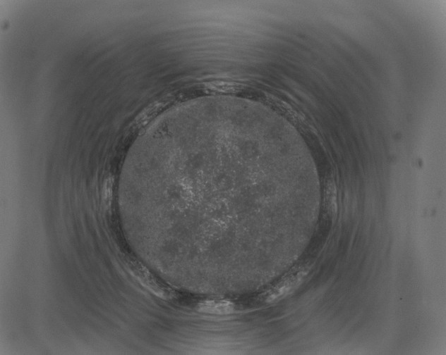 X0000082680271200702091640