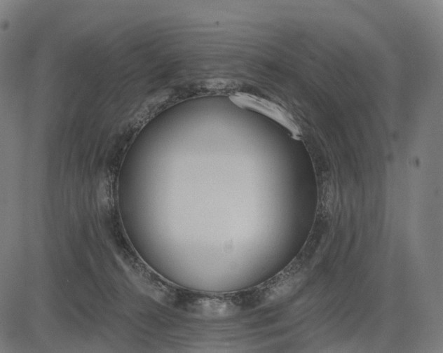 X0000082680272200702091640