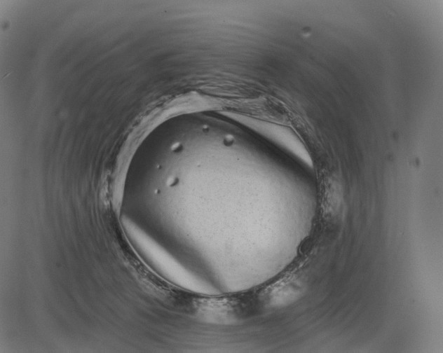 X0000082680273200702091640