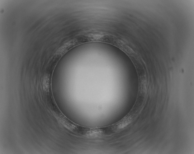 X0000082680274200702091640