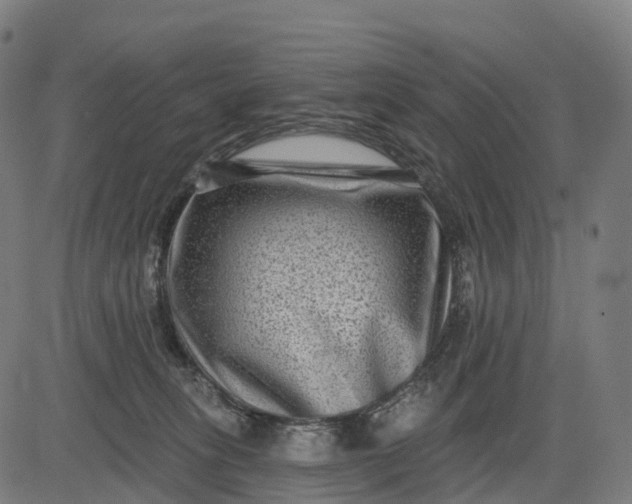 X0000082680275200702091640