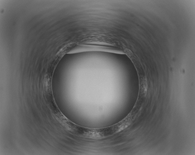 X0000082680276200702091640