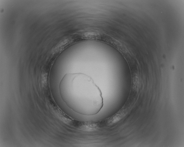 X0000082680278200702091640