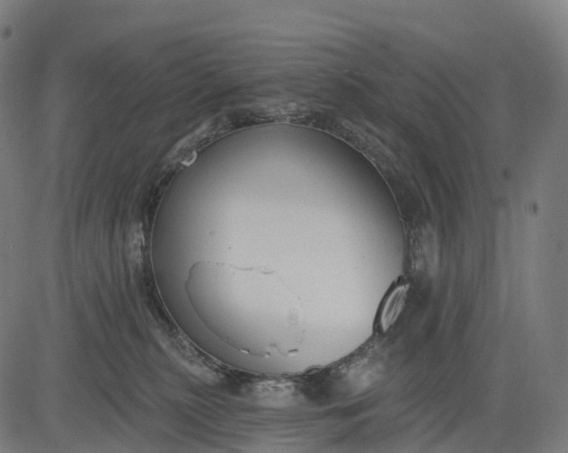 X0000082680279200702091640