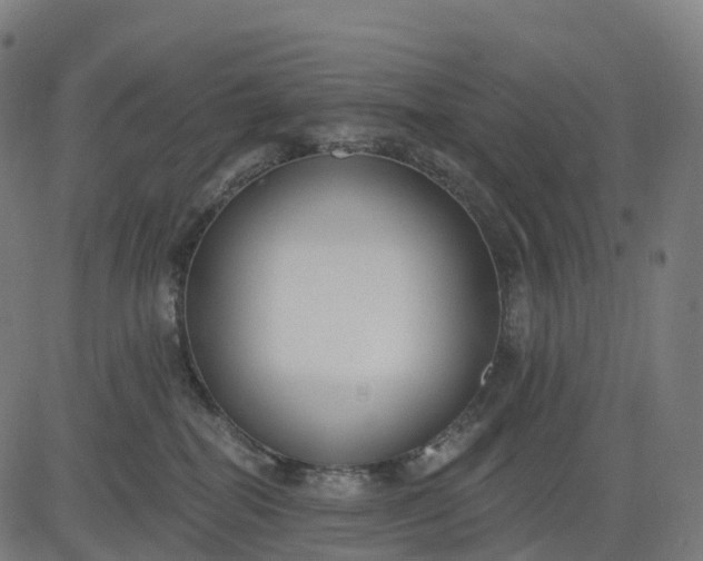 X0000082680282200702091640