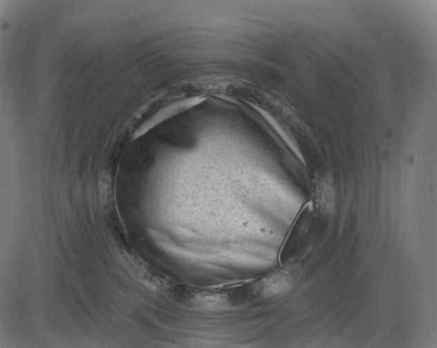 X0000082680283200702091640