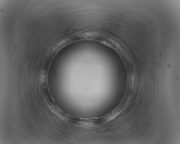 X0000082680284200702091640