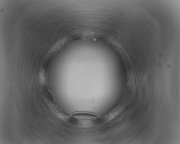 X0000082680287200702091640