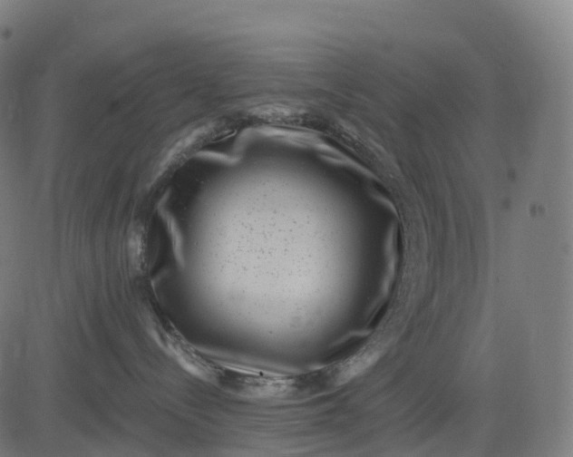 X0000082680288200702091640