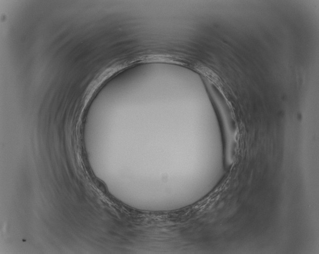 X0000082680289200702091639