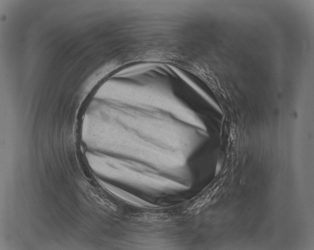 X0000082680292200702091639