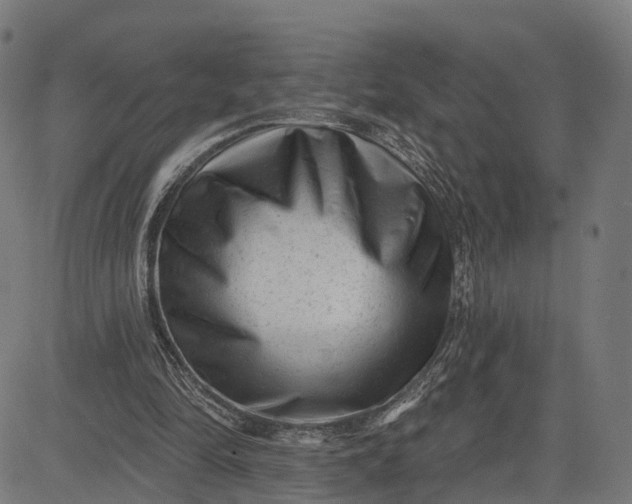 X0000082680294200702091639