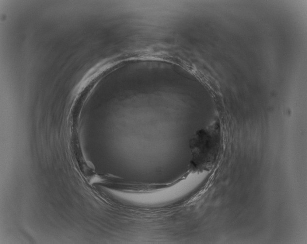 X0000082680295200702091639