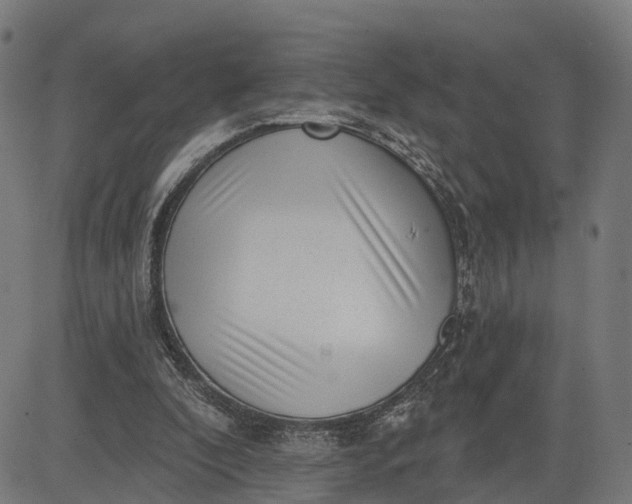 X0000082680296200702091639