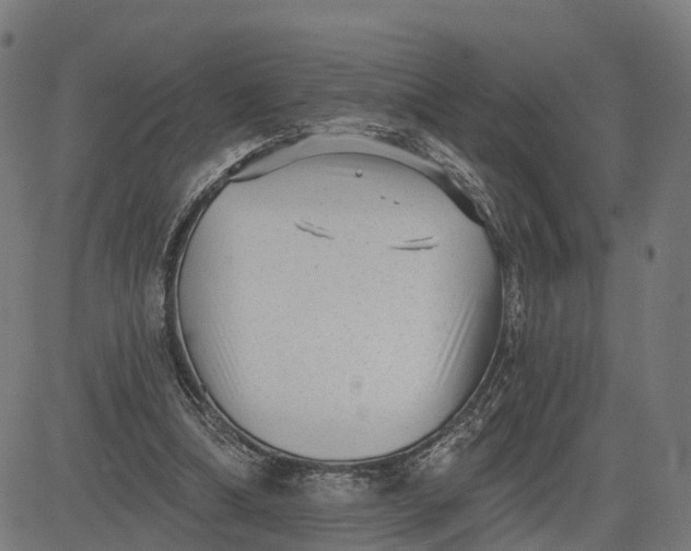 X0000082680298200702091639