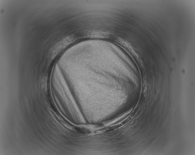 X0000082680299200702091639