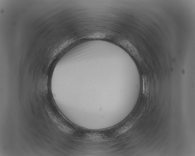 X0000082680300200702091639