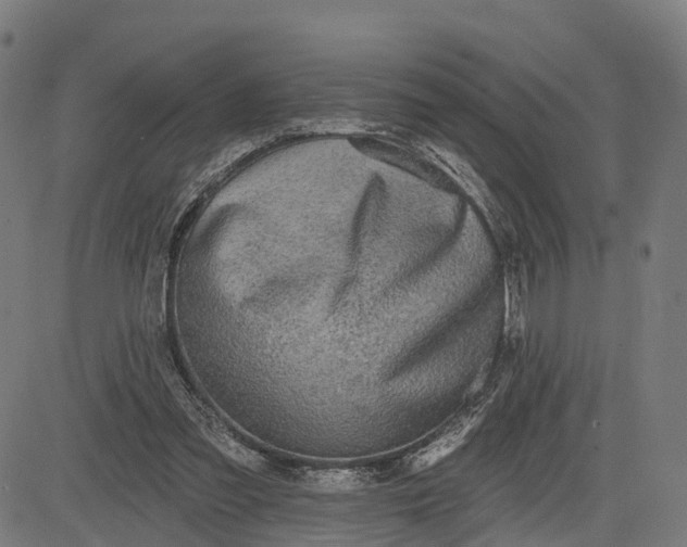 X0000082680301200702091639