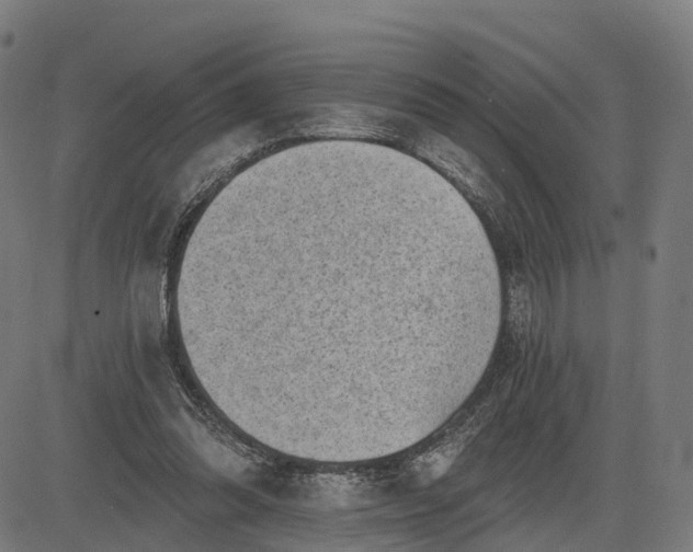 X0000082680302200702091639