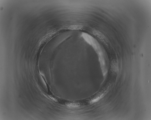 X0000082680303200702091639