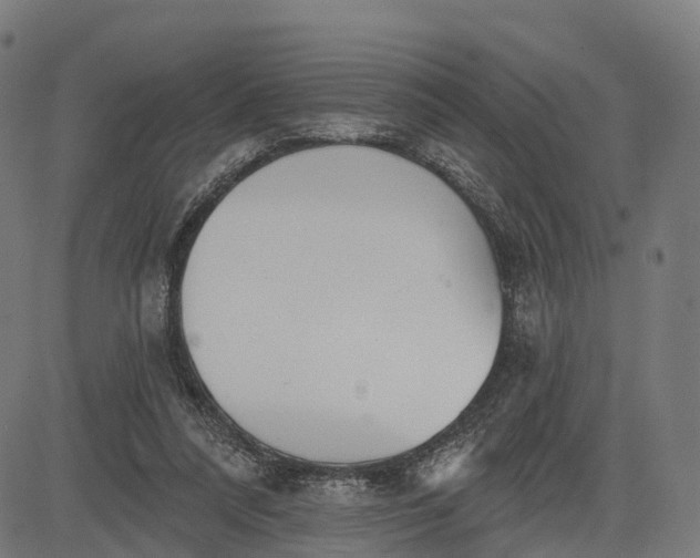 X0000082680304200702091639