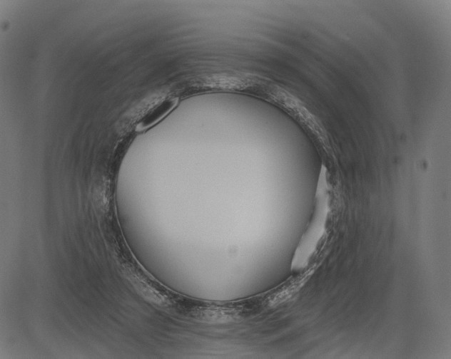 X0000082680305200702091639